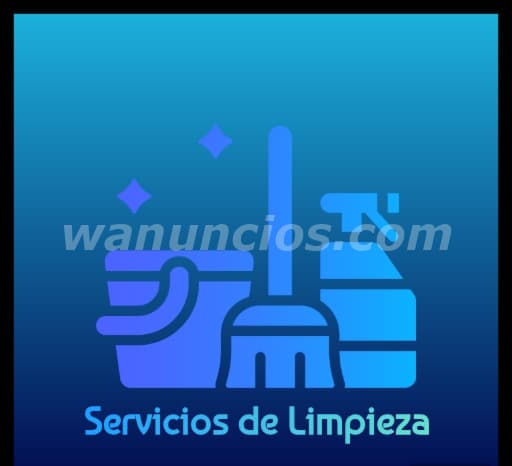 Realizó - Servicios de Limpieza a domicilio para hogares y empresas y de mas (Oriental)