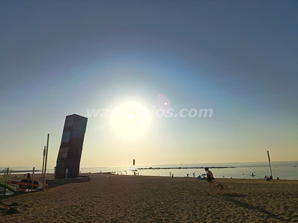 Cuidadora de señora fin de semana o partir de las 16 horas (Barcelona)