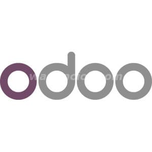 Desarrollador Odoo a largo plazo 800usd/mes