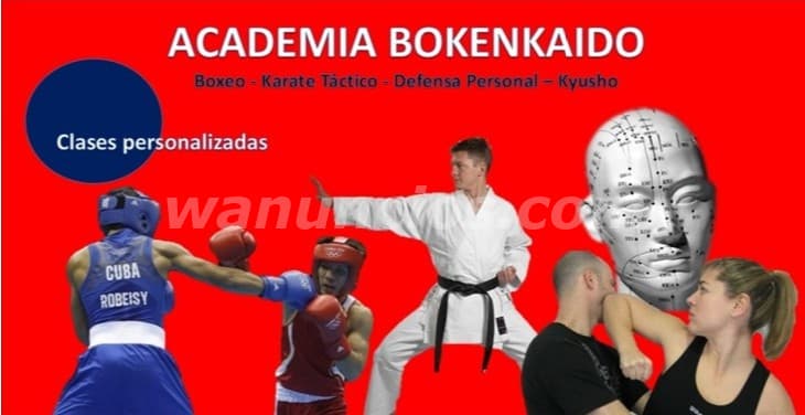 Clases personalizadas de defensa personal