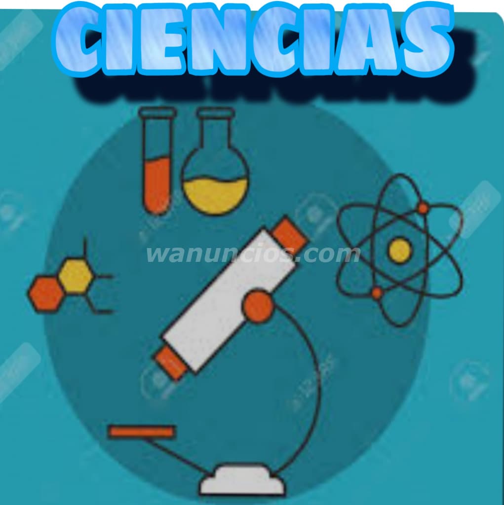 Clases particulares básica y media año 2025 (Calera de Tango) 2