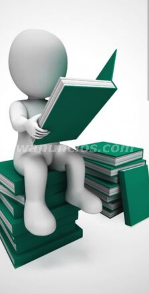 CLASES PARTICULARES BÁSICA MEDIA ONLINE 2026 (Talagante)