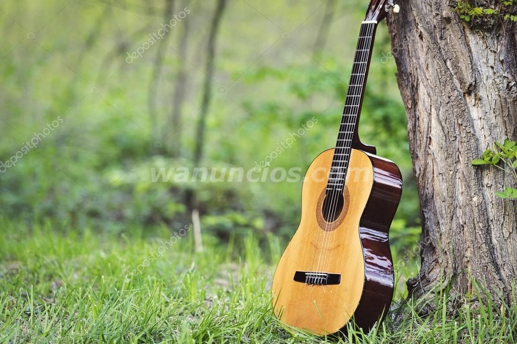 Guitarra clases Mendoza: 6 puntos claves para los que ya tocan