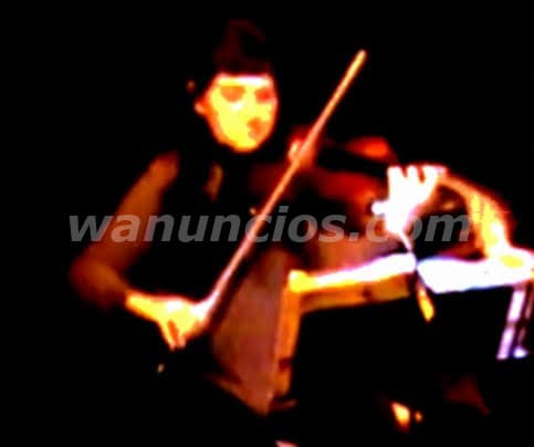 CLASES PARTICULARES PRESENCIALES DE VIOLIN (Villa Urquiza)