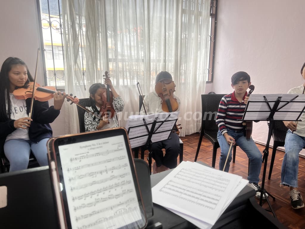 Clases de violín online y presencial todas las edades (Managua)