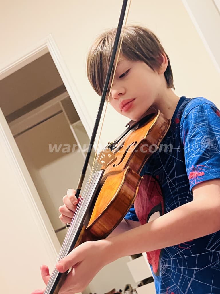 Clases de violín para niños jóvenes y adultos a domicilio y online (Managua)