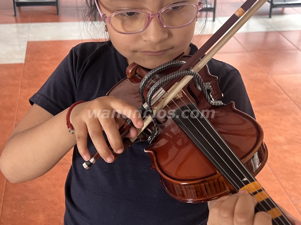 Clases de violín para niños jóvenes y adultos a domicilio y online (Managua) 3