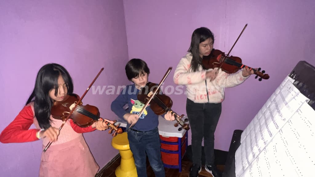 Clases de violín para niños jóvenes y adultos a domicilio y online (Managua) 4