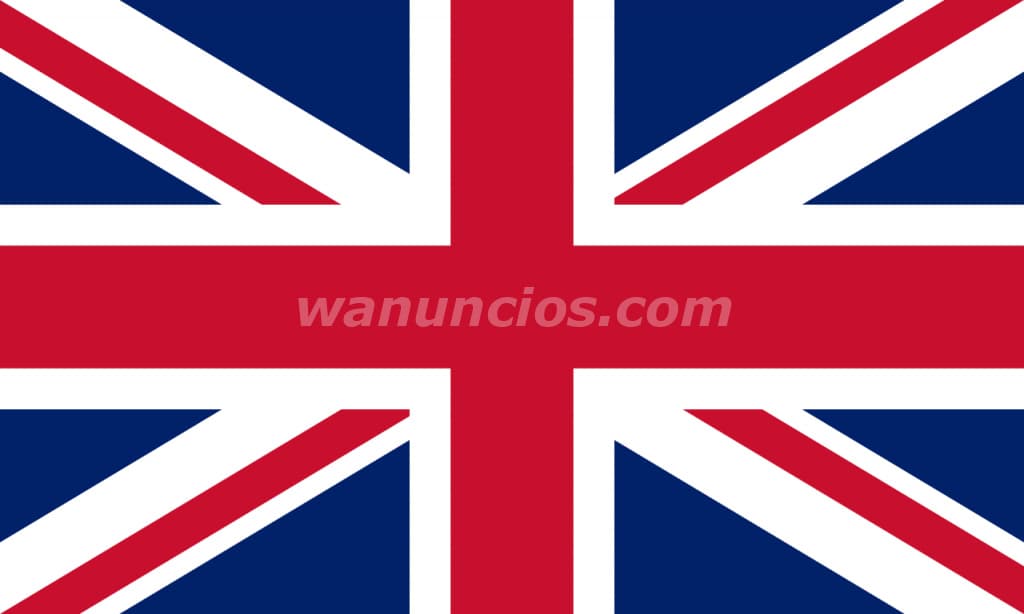 Clases de inglés particulares online desde cero (Online)