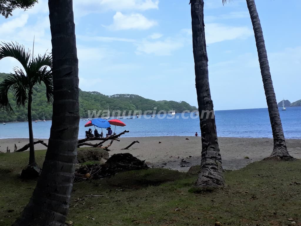 Learn Spanish in Tamarindo-Santa Cruz-Costa Rica (Tamarindo)