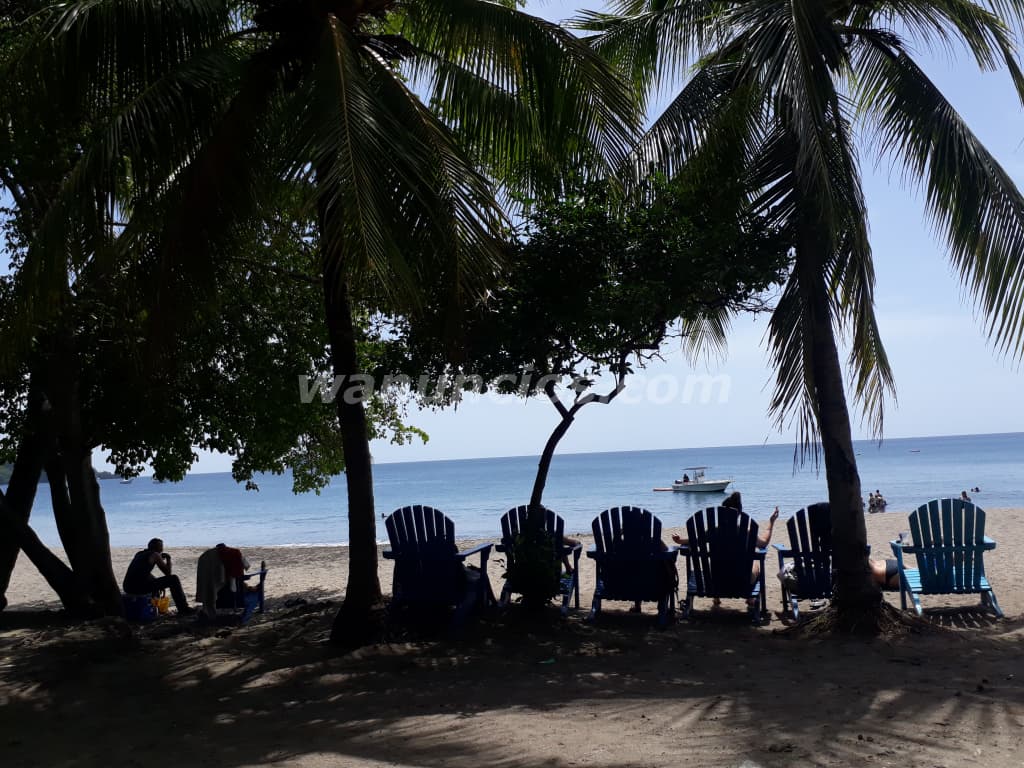 Learn Spanish in Tamarindo-Santa Cruz-Costa Rica (Tamarindo) 2