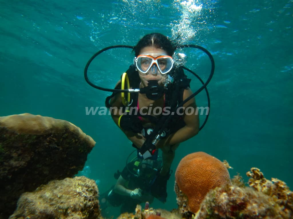 Buceo Inolvidable Aventura Única Fotos y más 3