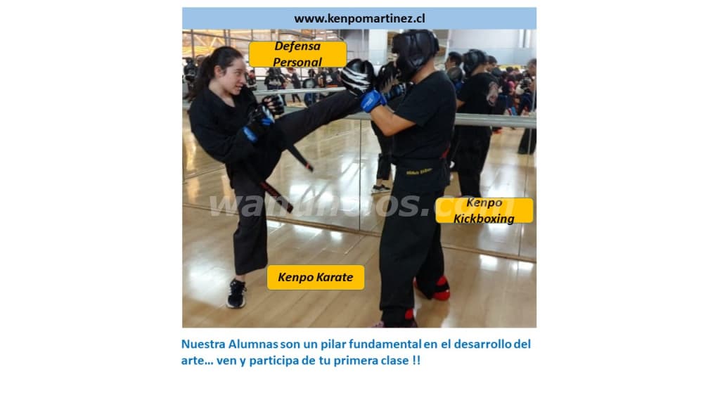 Clases Kenpo Karate - Kickboxing - Defensa Personal (PEÑALOLEN) 3