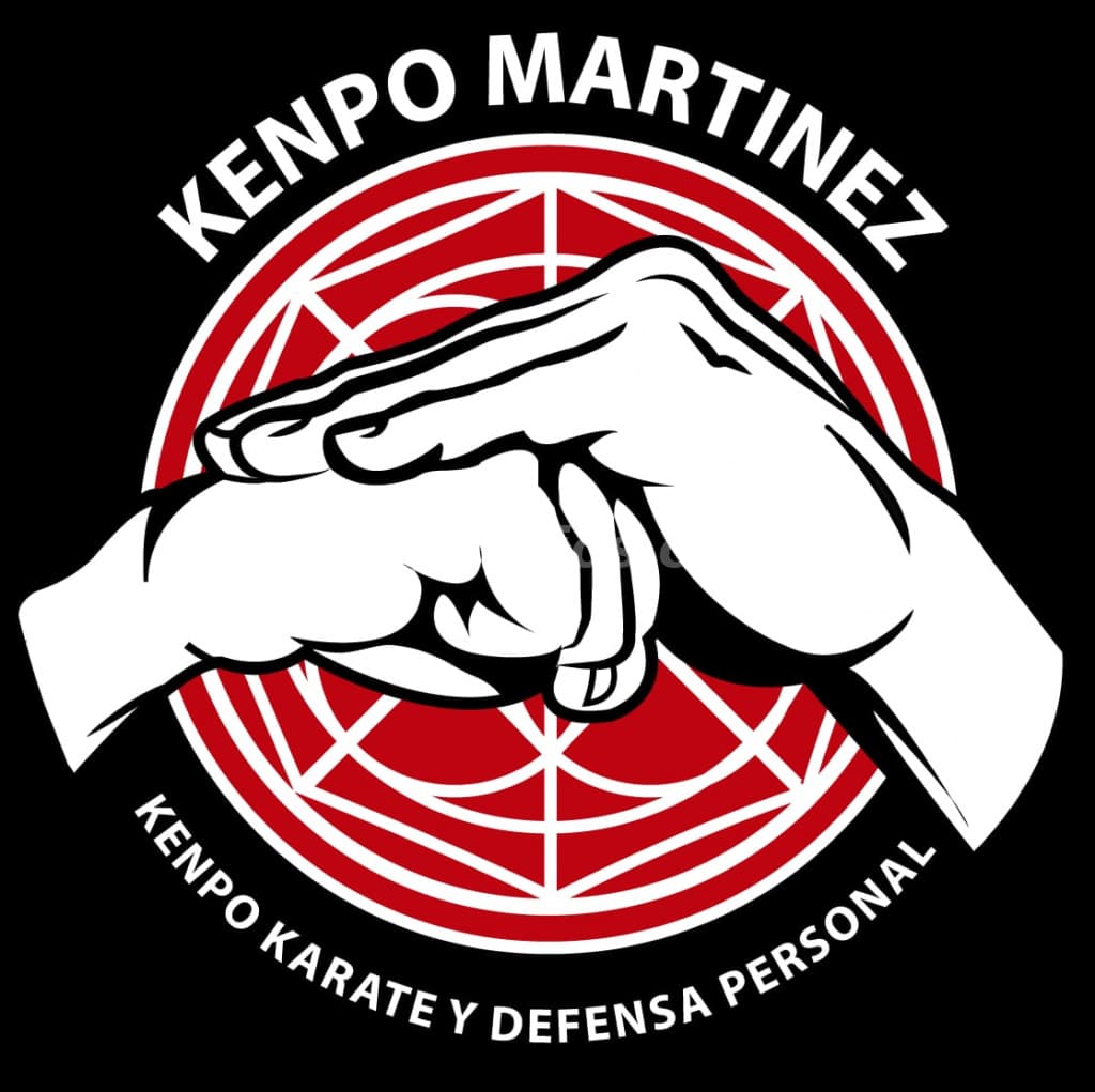 Clases Kenpo Karate - Kickboxing - Defensa Personal (PEÑALOLEN) 4