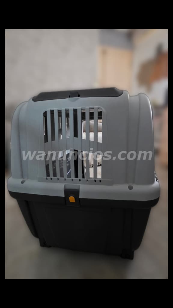 60 € - TRANSPORTIN PARA PERRO GRANDE HOMOLOGADO PARA AVIONES (VALLECAS) 3