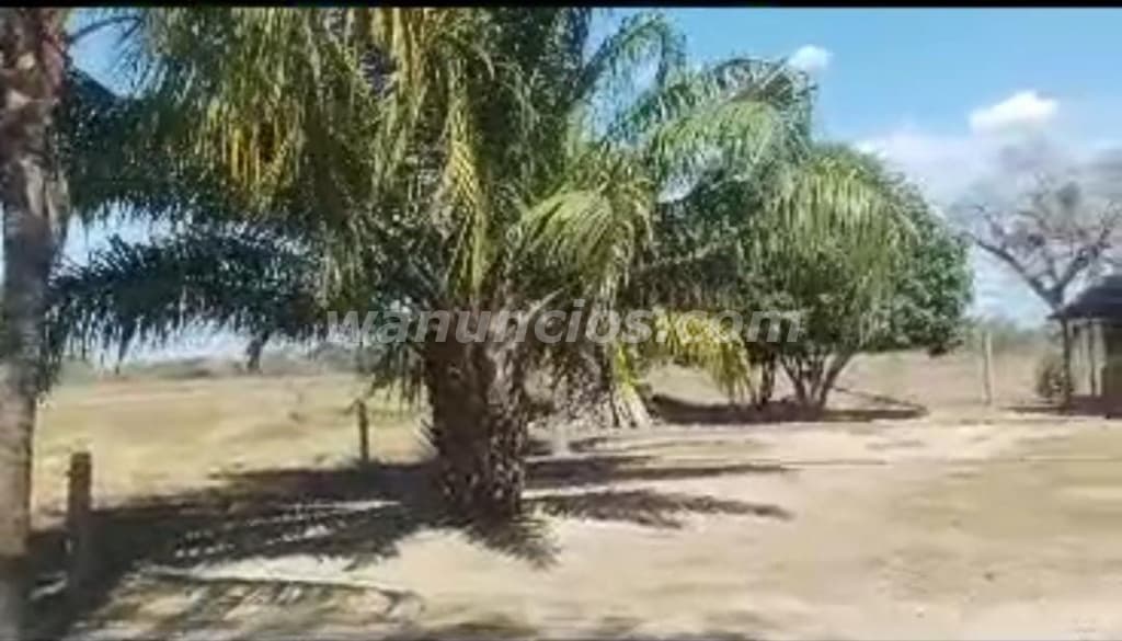 60.000 US$ - Hermosa Finca 31 Hectáreas lista para trabajar (Estado Cojedes) 2