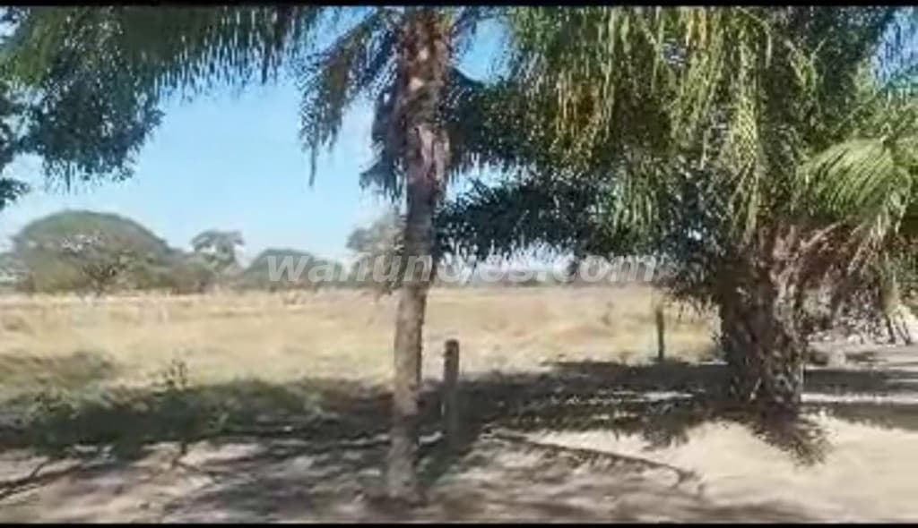 60.000 US$ - Hermosa Finca 31 Hectáreas lista para trabajar (Estado Cojedes) 3