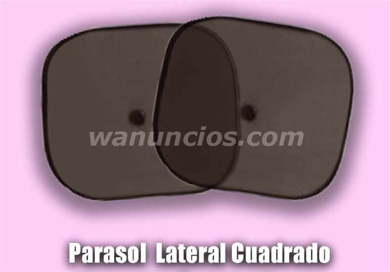 1 Pesos - PARASOLES PARA VENTANAS DE AUTO PERSONALIZADAS PARA CAMPAÑAS (MEXICO) 4