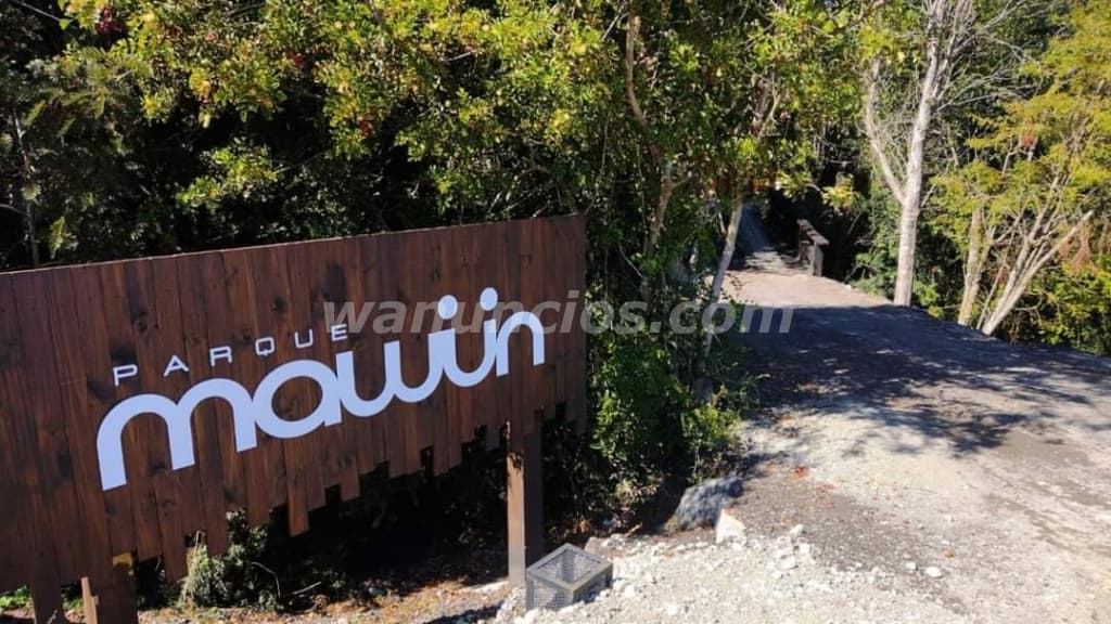 300.000.000 Pesos - se venden 10 hectareas en parque mewin en sector rio sur puerto varas (zona rura