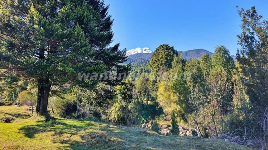 300.000.000 Pesos - se venden 10 hectareas en parque mewin en sector rio sur puerto varas (zona rura 5