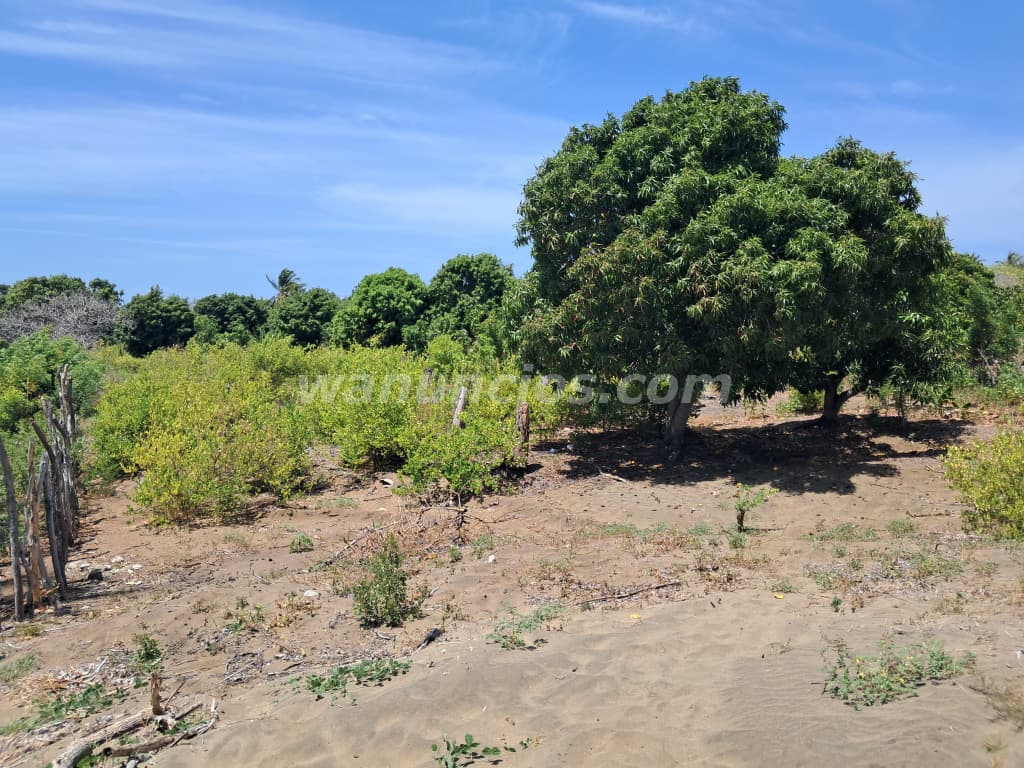 1.500.000 Pesos - De oportunidad vendo 7 tareas sembradas las calderas Bani. (LAS CALDERAS)