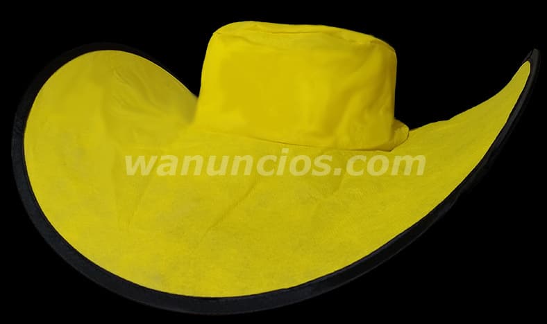 1 Pesos - Sombreros Plegables para Campañas Publicitarias (Benito Juarez) 3