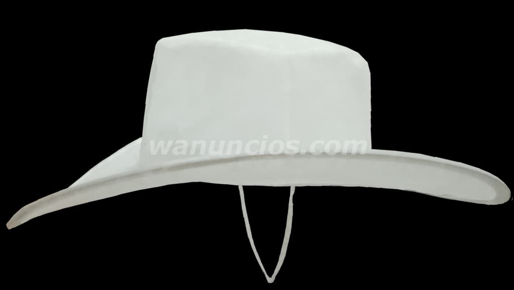 1 Pesos - Sombreros Plegables para Campañas Publicitarias (Benito Juarez) 4
