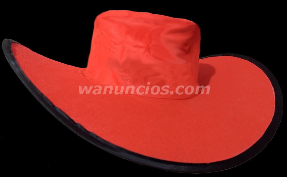1 Pesos - Sombreros Plegables para Campañas Publicitarias (Benito Juarez) 5