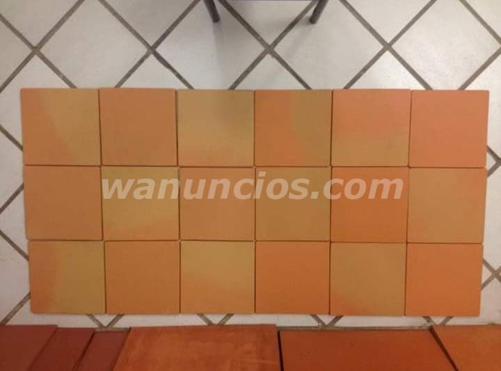 Pisos de barro Saltillo, colorado y terracota 6621035044 3