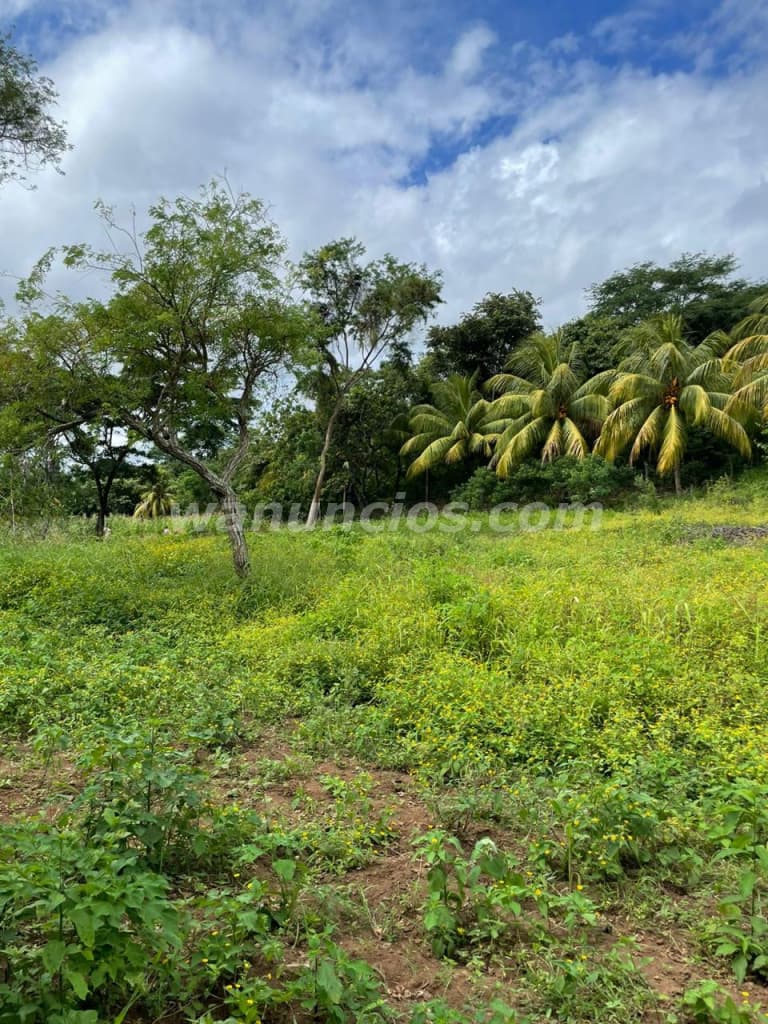 40.820 US$ - Finca en Venta en Niquinhomo, Masaya, son 3.14 Manzanas (el portillo) 2