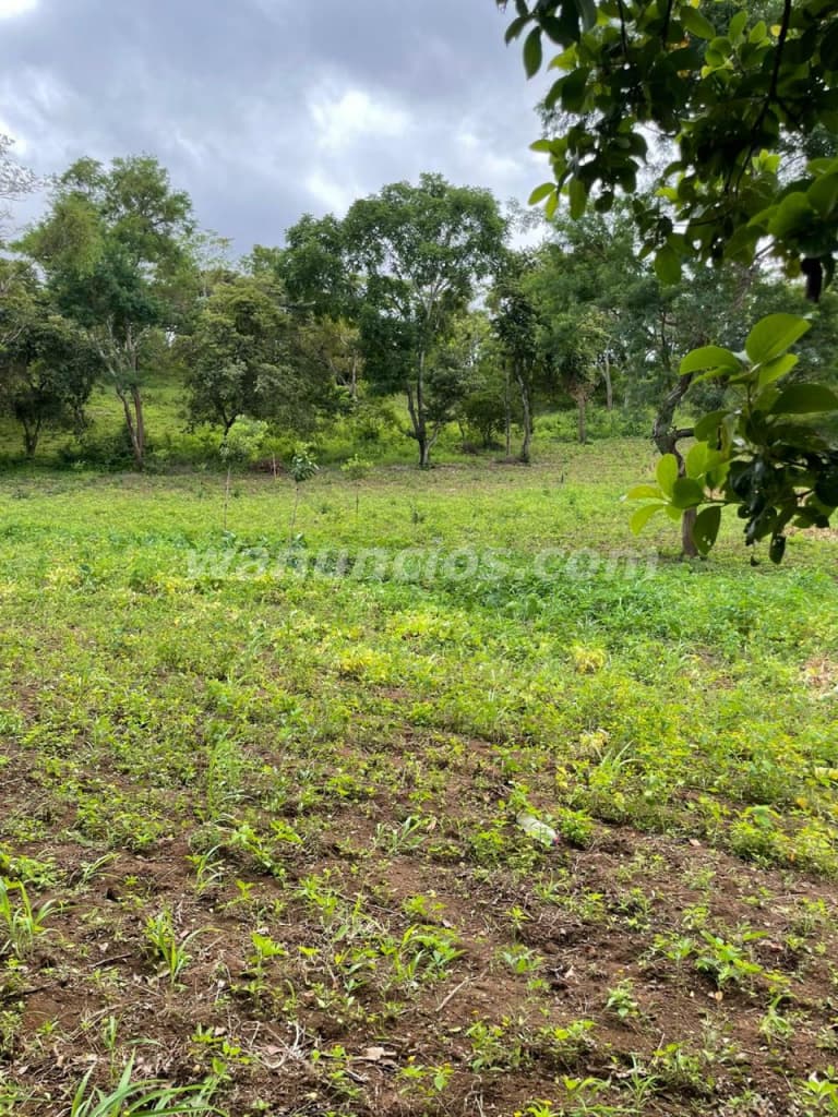 40.820 US$ - Finca en Venta en Niquinhomo, Masaya, son 3.14 Manzanas (el portillo) 4