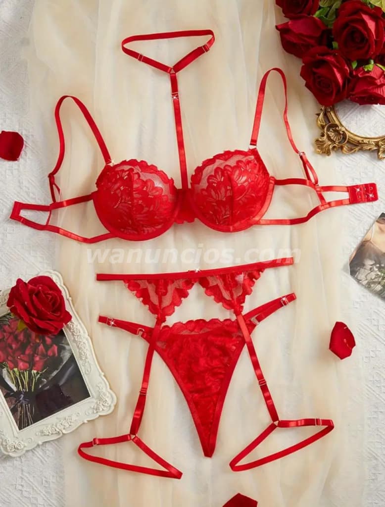 Lencería sexy + artículos especiales, Escribeme... (Panamá) 4