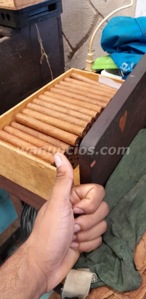 Tabacos de buena calidad y buen precio desde cuba