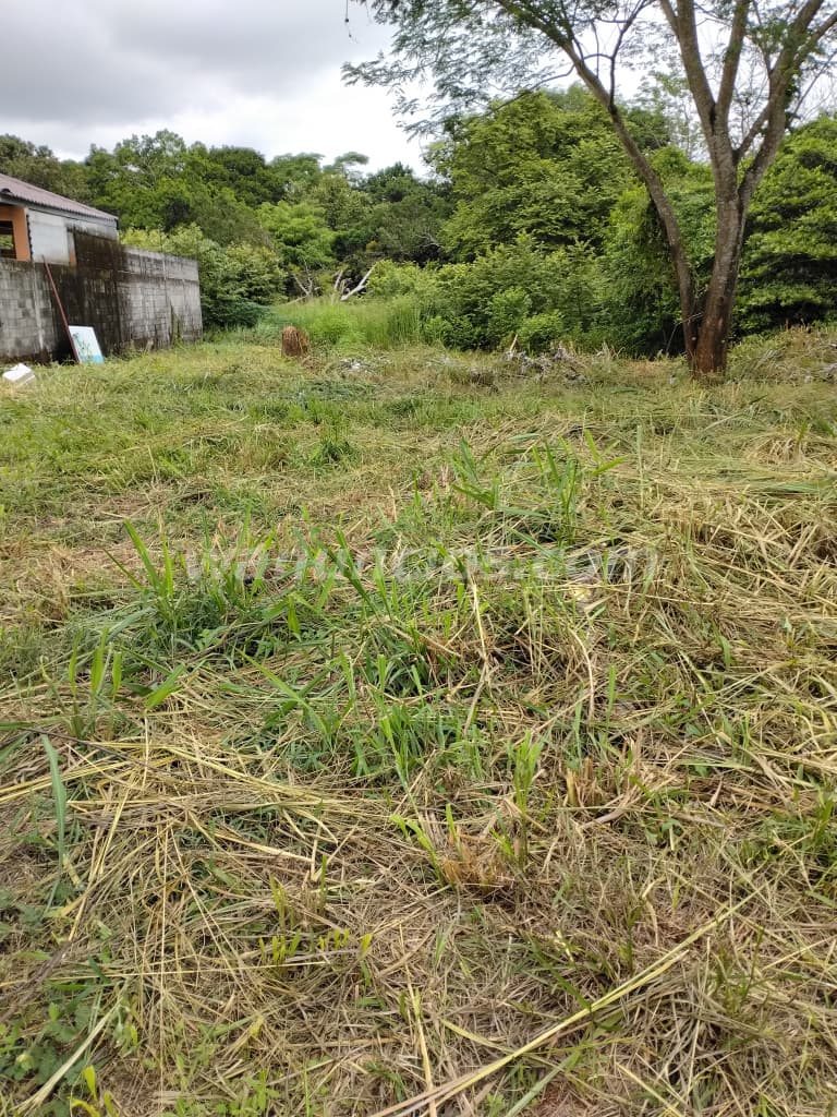 80 US$ - VENTA DE TERRENO EN AREA EXCLUSIVA EN LAS PERLAS CERCA DEL FUTURO RIBA SMITH. (DAVID) 2