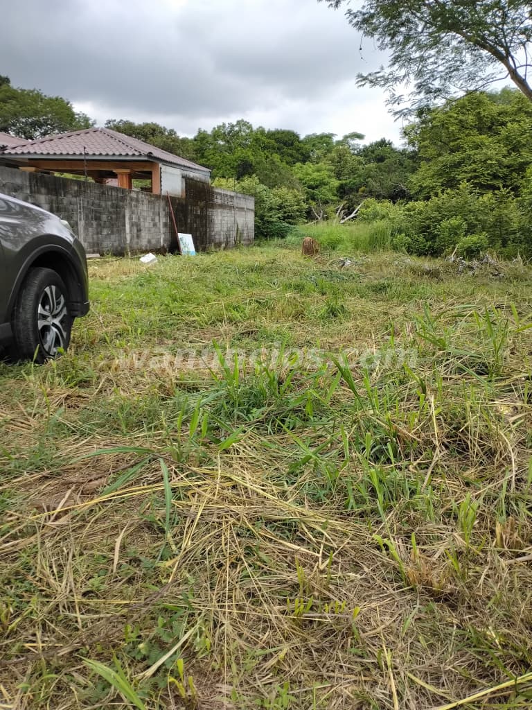 80 US$ - VENTA DE TERRENO EN AREA EXCLUSIVA EN LAS PERLAS CERCA DEL FUTURO RIBA SMITH. (DAVID) 3