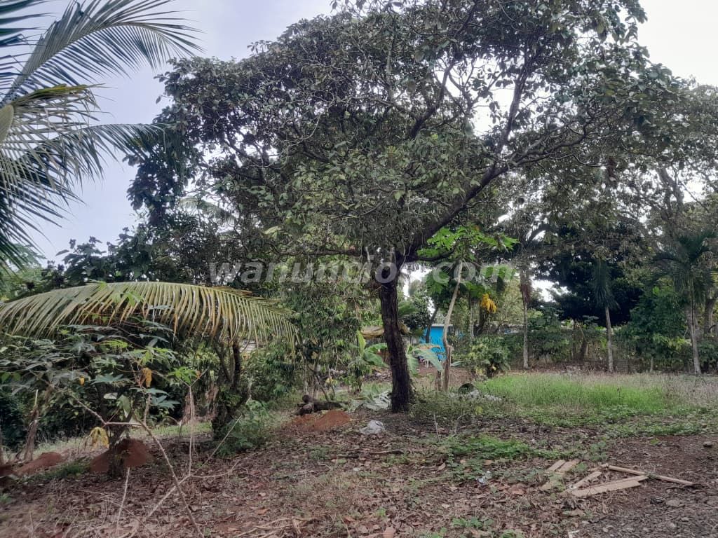 50.000 US$ - Lote en La Mitra Chorrera excelente ubicación (La Mitra de la Chorrera) 3