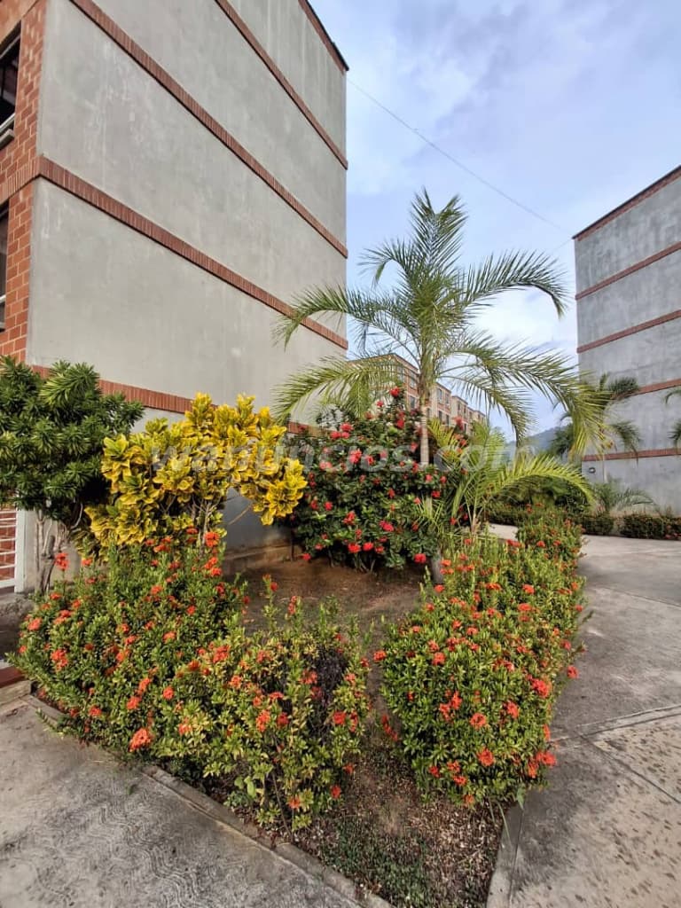 20.000 € - Vendo bello apartamento para vivir y disfrutar (Carayaca) 4