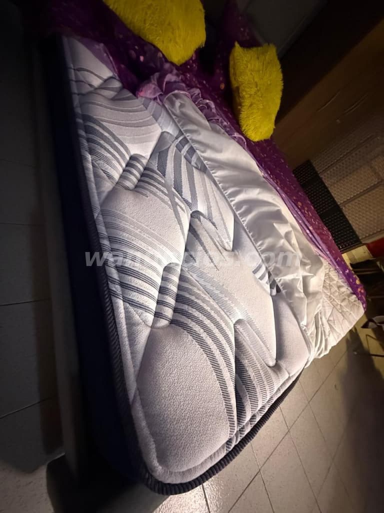 650 US$ - SE VENDE CAMA EN BUEN ESTADO CASI NUEVA CON COLCHON (Avenida peru) 3