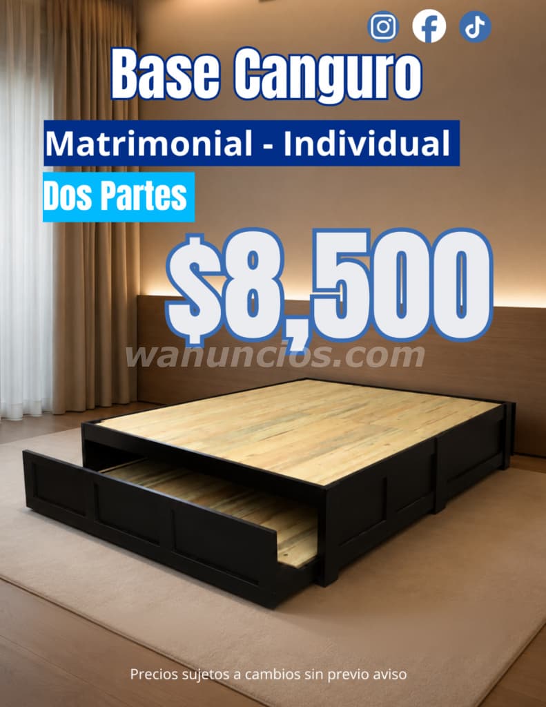 8.500 Pesos - Base Canguro Matrimonial - Individual en 2 Partes en Monterrey | Ahorra Espacio (Centr