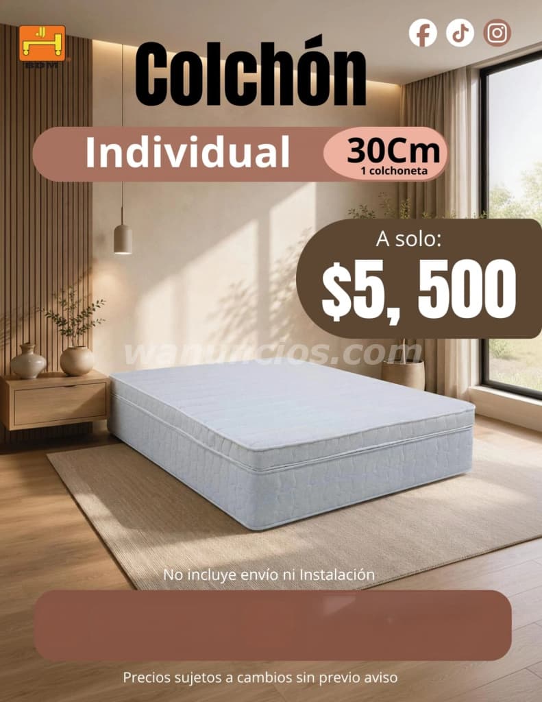 5.500 Pesos - Buscas un Colchón Individual Ortopédico de 30 cm en Monterrey? (Centro Monterrey)
