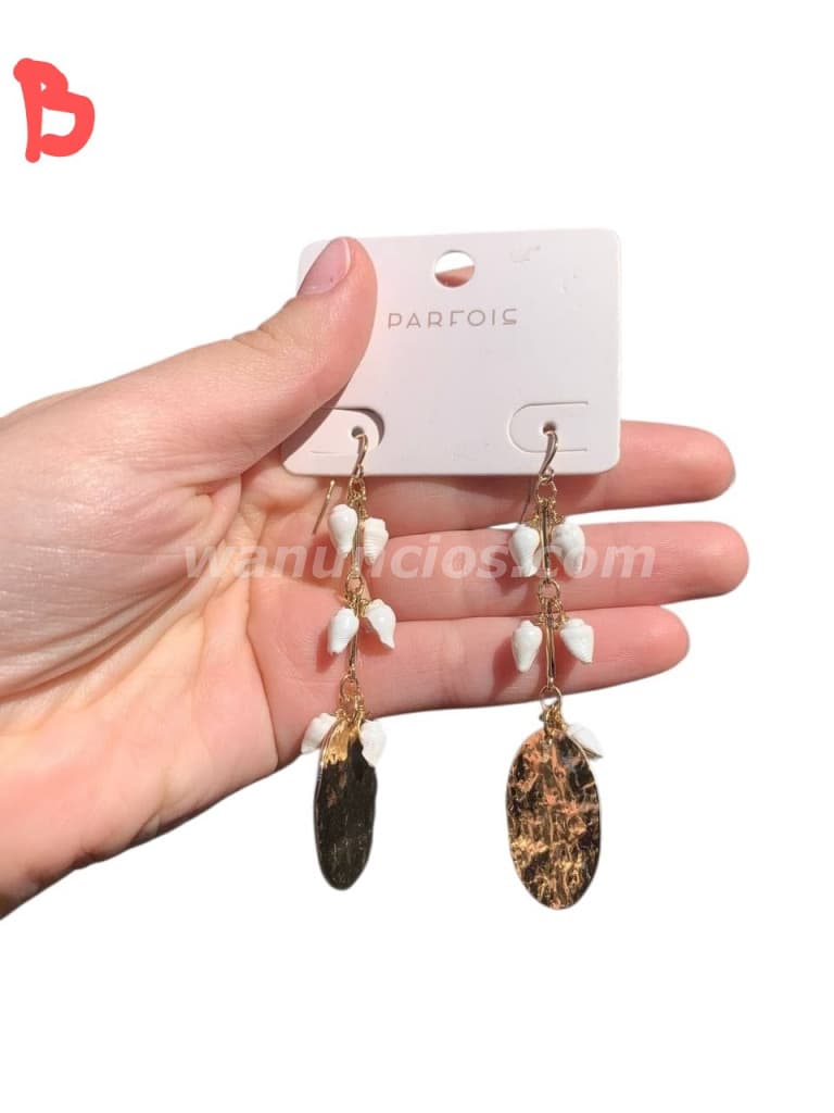 250 Pesos - Aros y Caravanas Hipoalergenicas de Portugal (PRADO NORTE) 5
