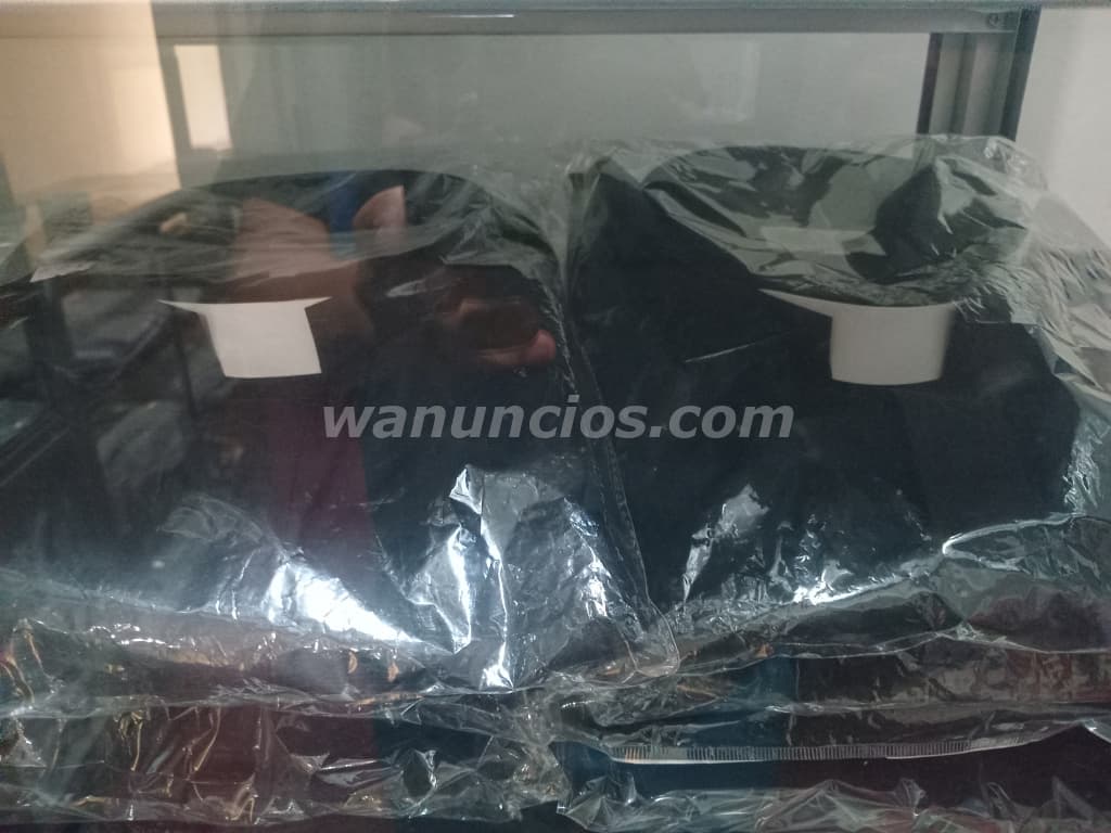 300 US$ - Se hace ropa liturgica y todo lo relacionado a los padres (San salvador) 2