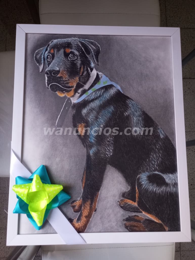 50.000 Pesos - Regala emociones hechas arte: Retratos personalizados únicos a lápiz y color (medelli 3