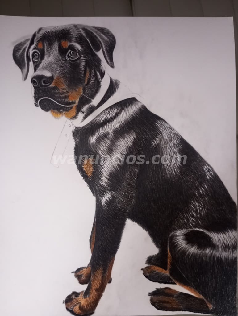 50.000 Pesos - Regala emociones hechas arte: Retratos personalizados únicos a lápiz y color (medelli 5