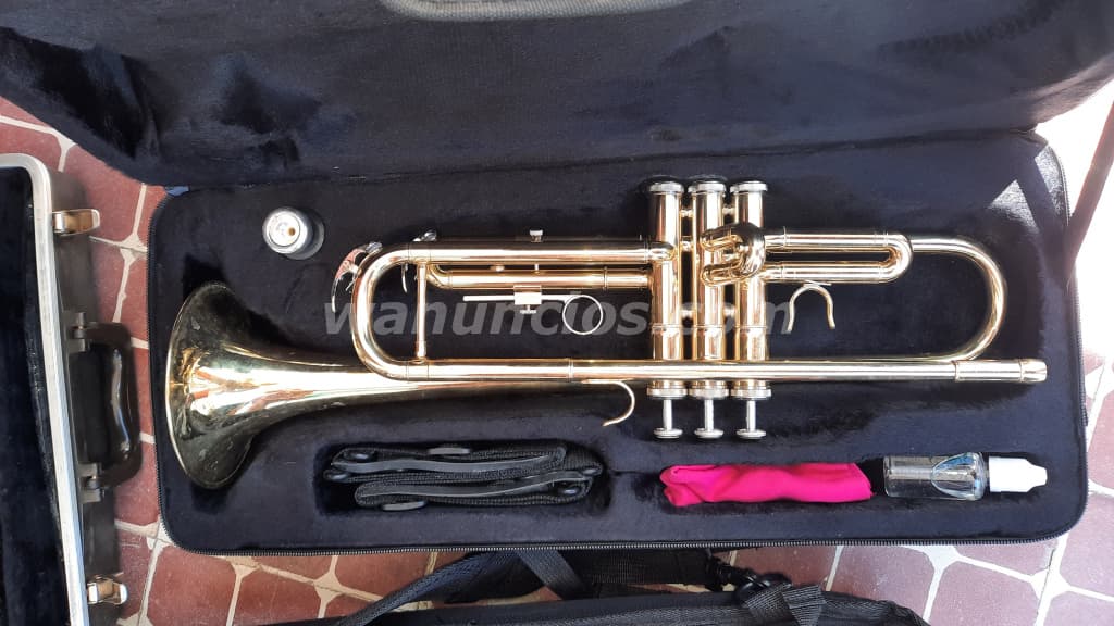 Vendo Trompeta,Arpa,Clarinete y Pianola en La Habana