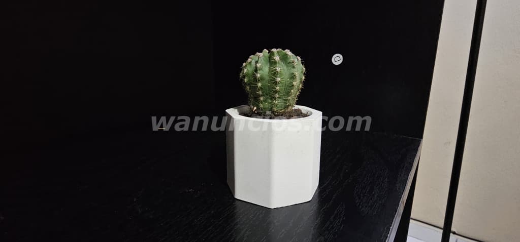 350 Lempiras - Arte decorativo de casa precios accesibles (San Pedro Sula) 2