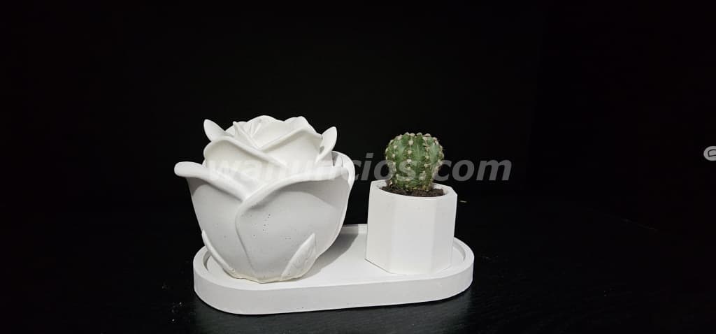 350 Lempiras - Arte decorativo de casa precios accesibles (San Pedro Sula) 3
