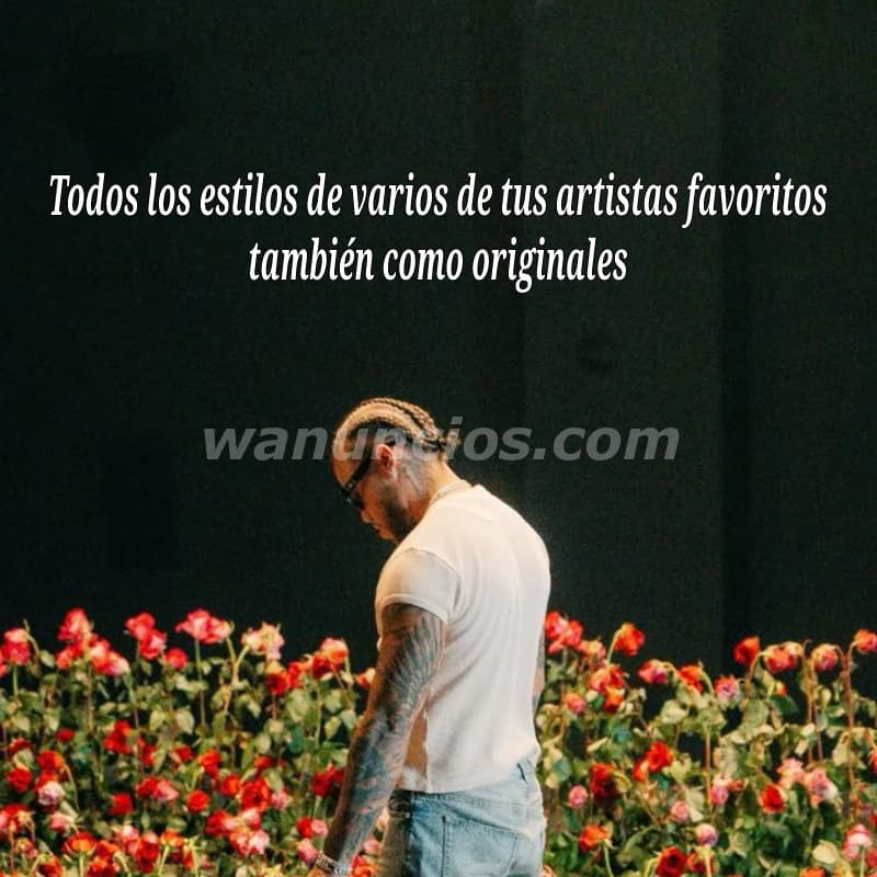 20 US$ - Letra de canciones desde $20 para ti, específicamente del genero urbano. (Santa Ana) 4