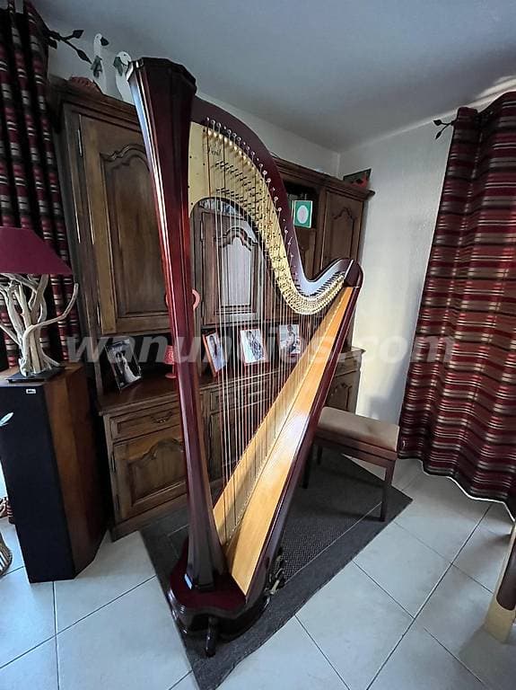800 € - Para quienes aman el sonido Regalo de David Harp con accesorios