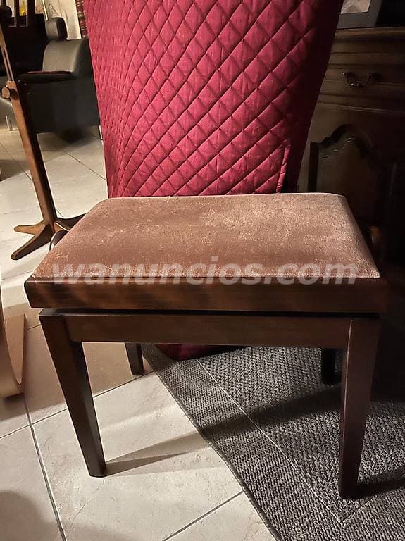 800 € - Para quienes aman el sonido Regalo de David Harp con accesorios 2